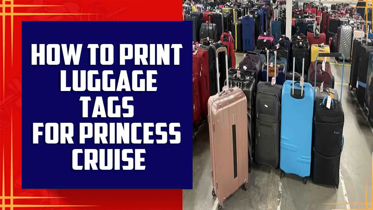 Print Luggage Tags For Princess Cruise