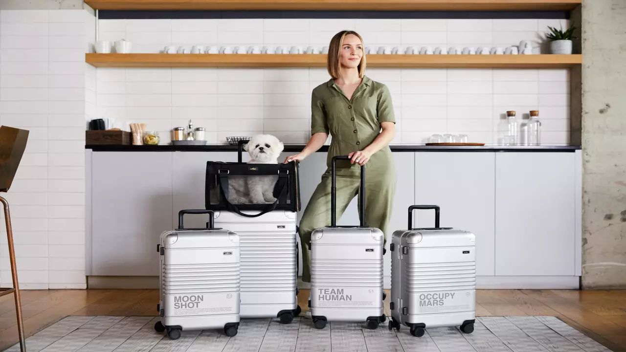 What Is Arlo Luggage