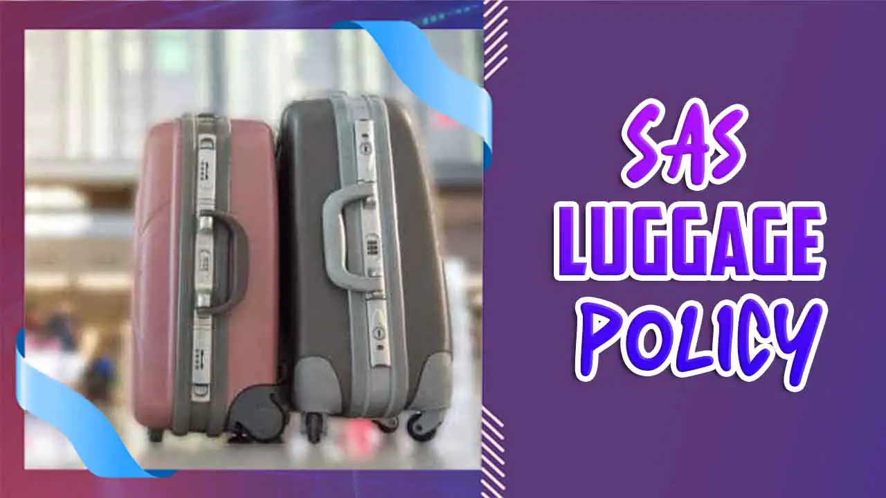 sas luggage policy