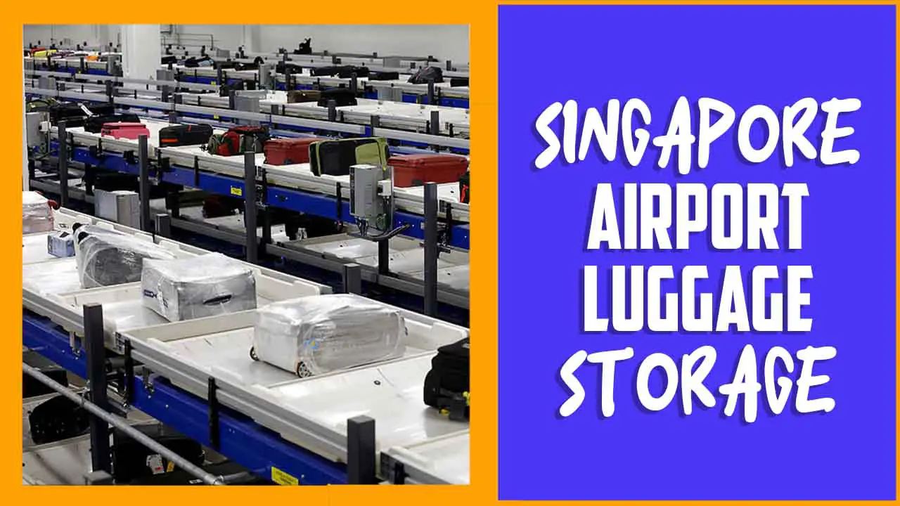 Singapore Airport Luggage Storage
