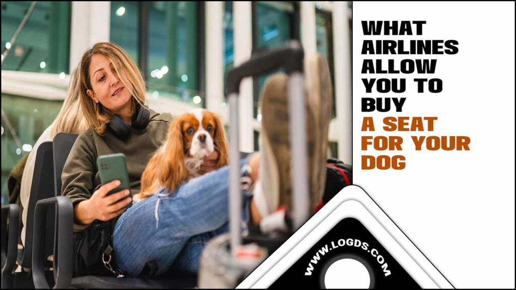Airlines Allow You To Buy A Seat For Your Dog Expert Guide