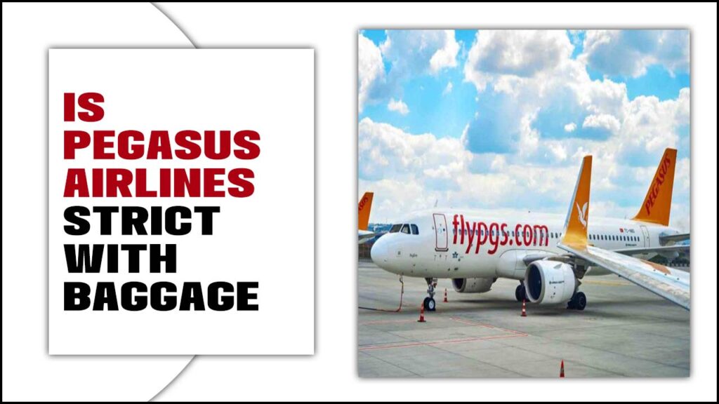 Is Pegasus Airlines Strict With Baggage A Passenger Guide