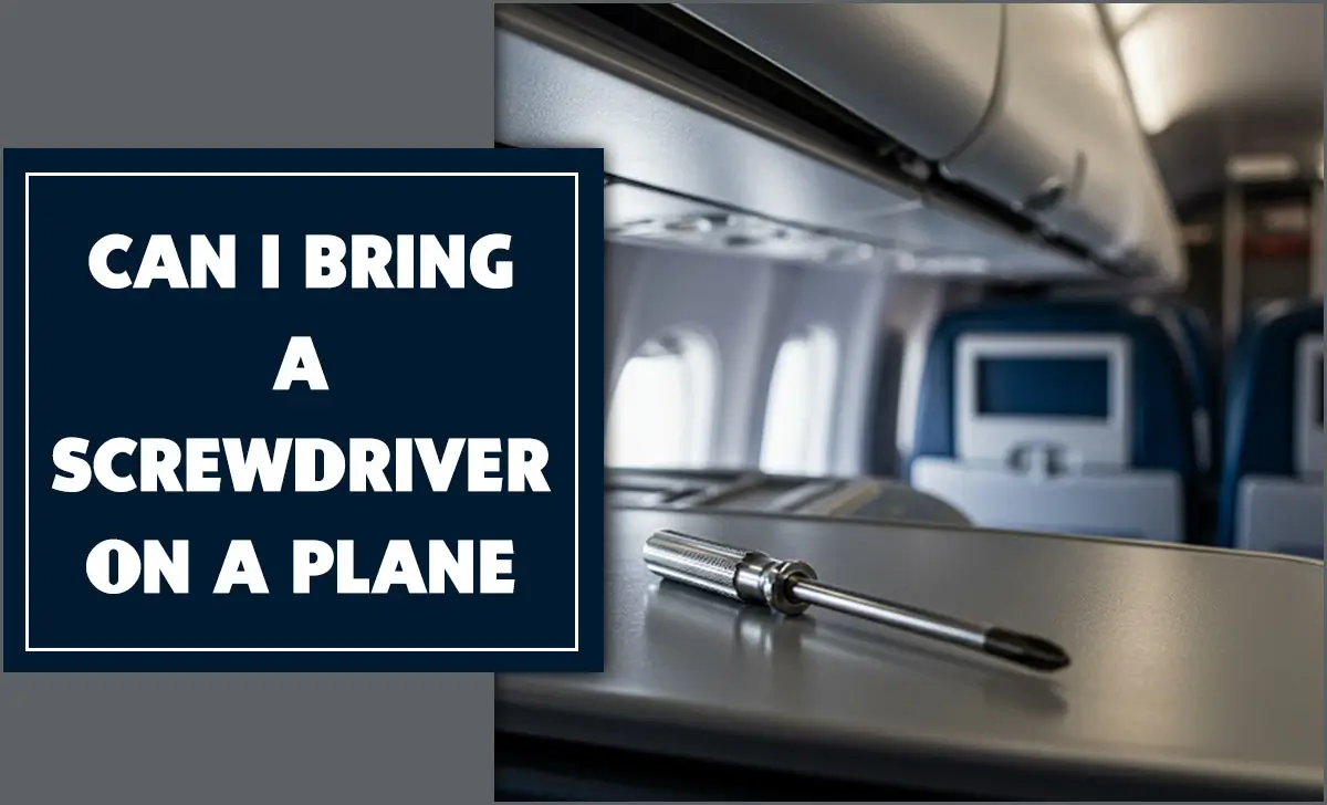 Can I Bring A Screwdriver On A Plane