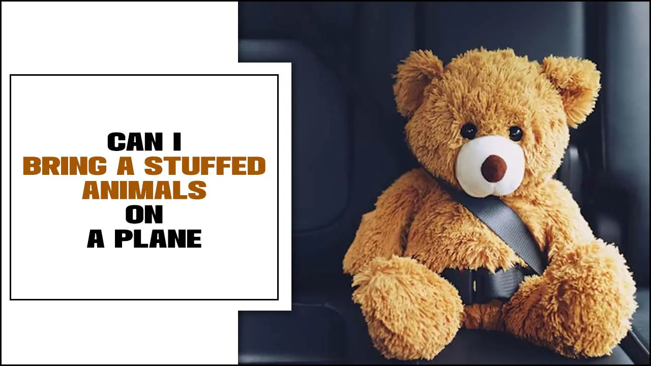 Can I Bring A Stuffed Animals On A Plane
