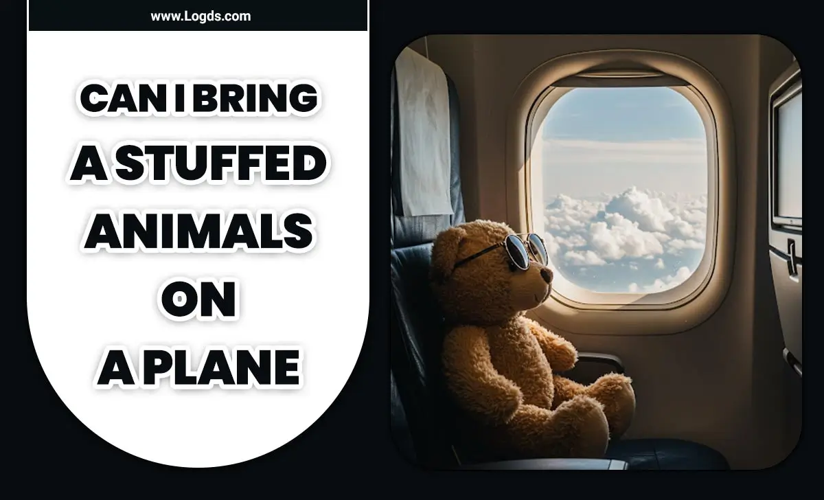 Can I Bring A Stuffed Animals On A Plane