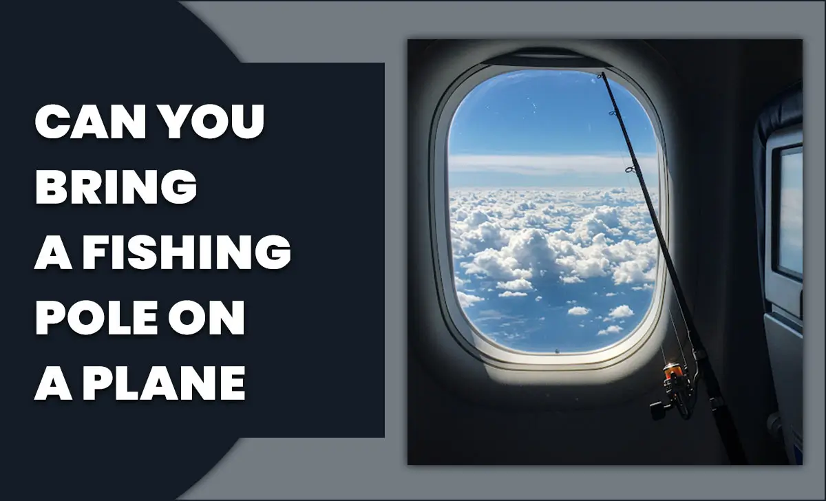 Can You Bring A Fishing Pole On A Plane