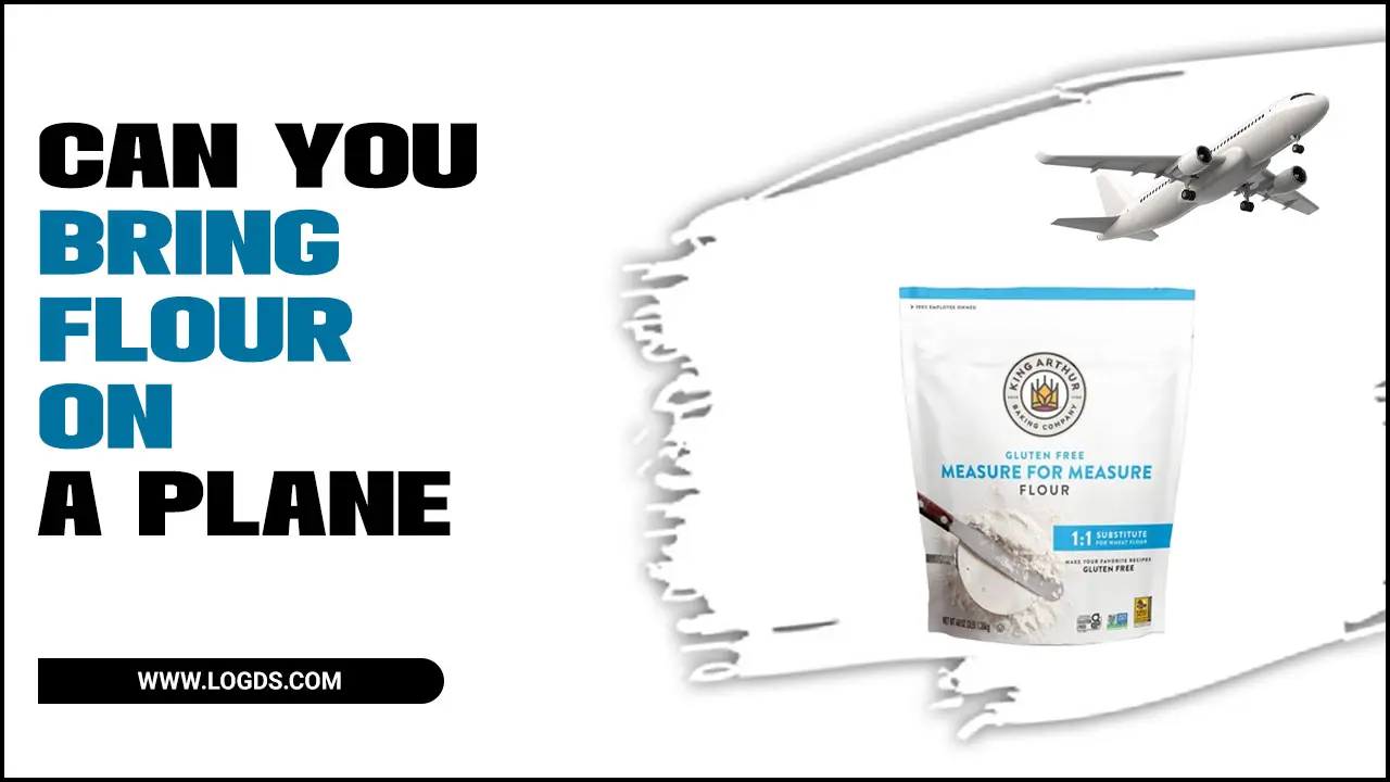 Can You Bring Flour On A Plane