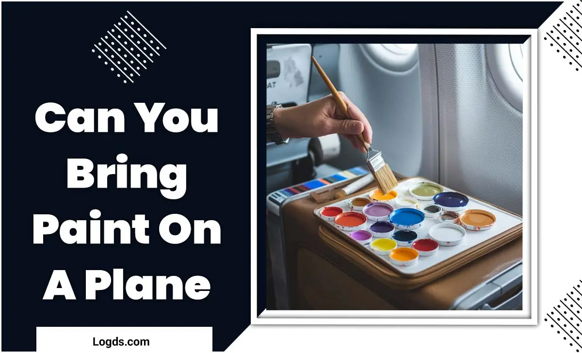 Can You Bring Paint On A Plane