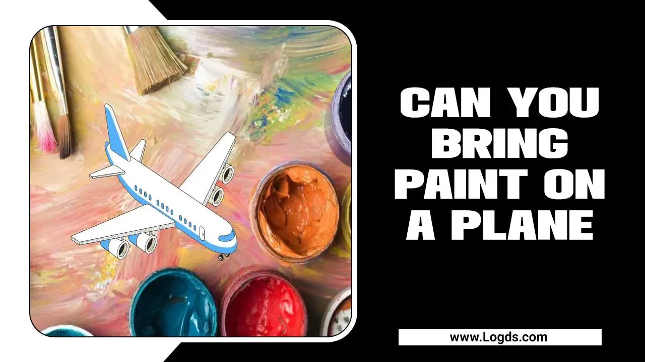 Can You Bring Paint On A Plane