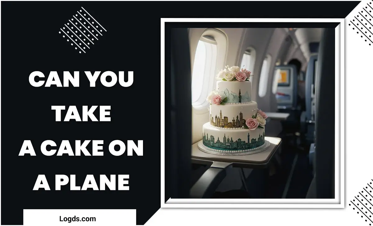 Can You Take A Cake On A Plane