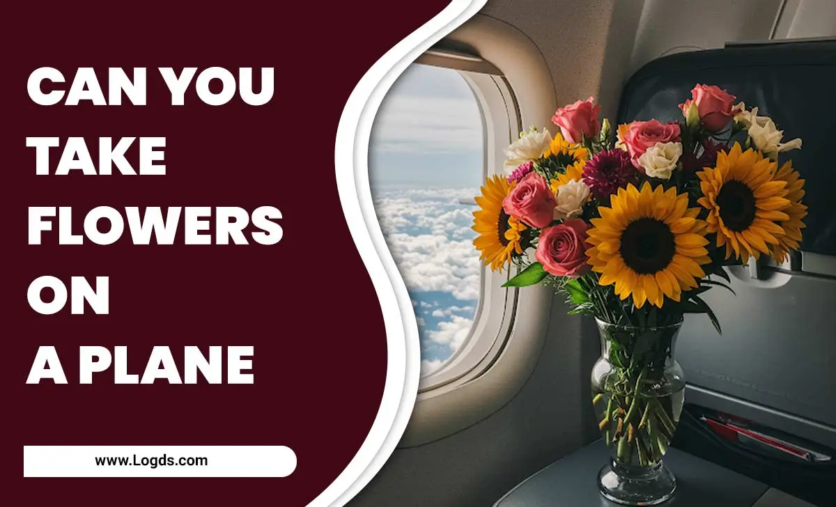 Can You Take Flowers On A Plane
