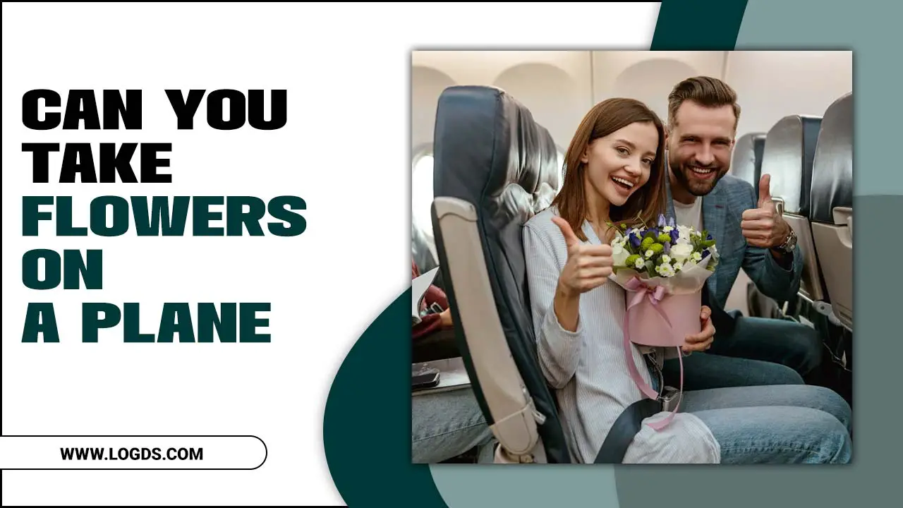 Can You Take Flowers On A Plane