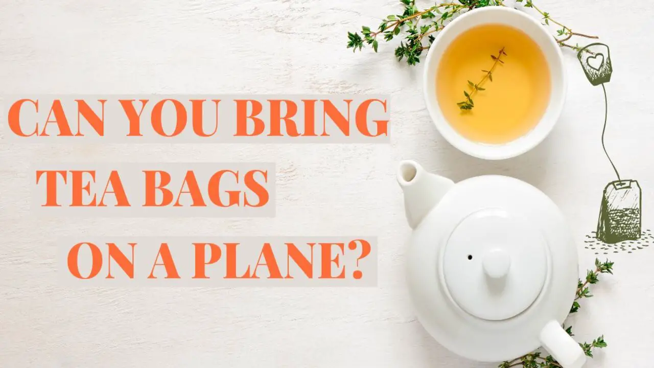 Can You Take Tea Bags On A Plane - The Revealed Answer