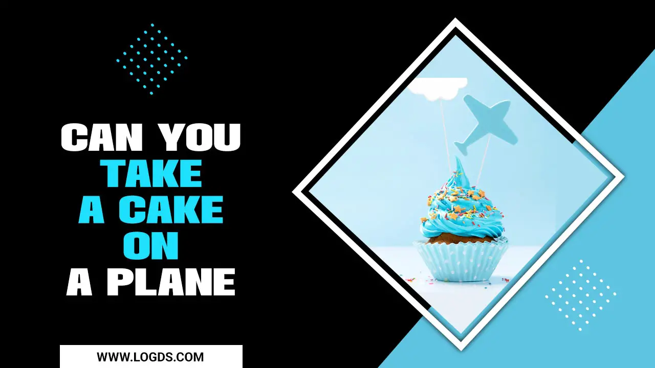 Can You Take A Cake On A Plane