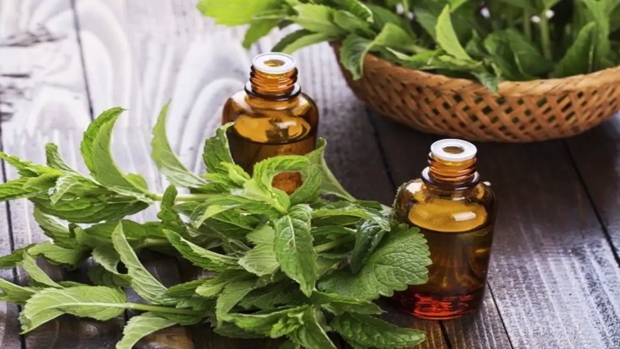 Essential Oils For In-Flight Aromatherapy