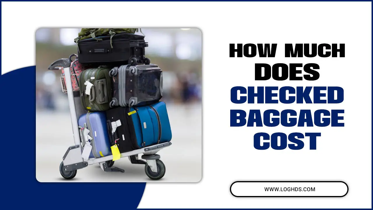 How Much Does Checked Baggage Cost