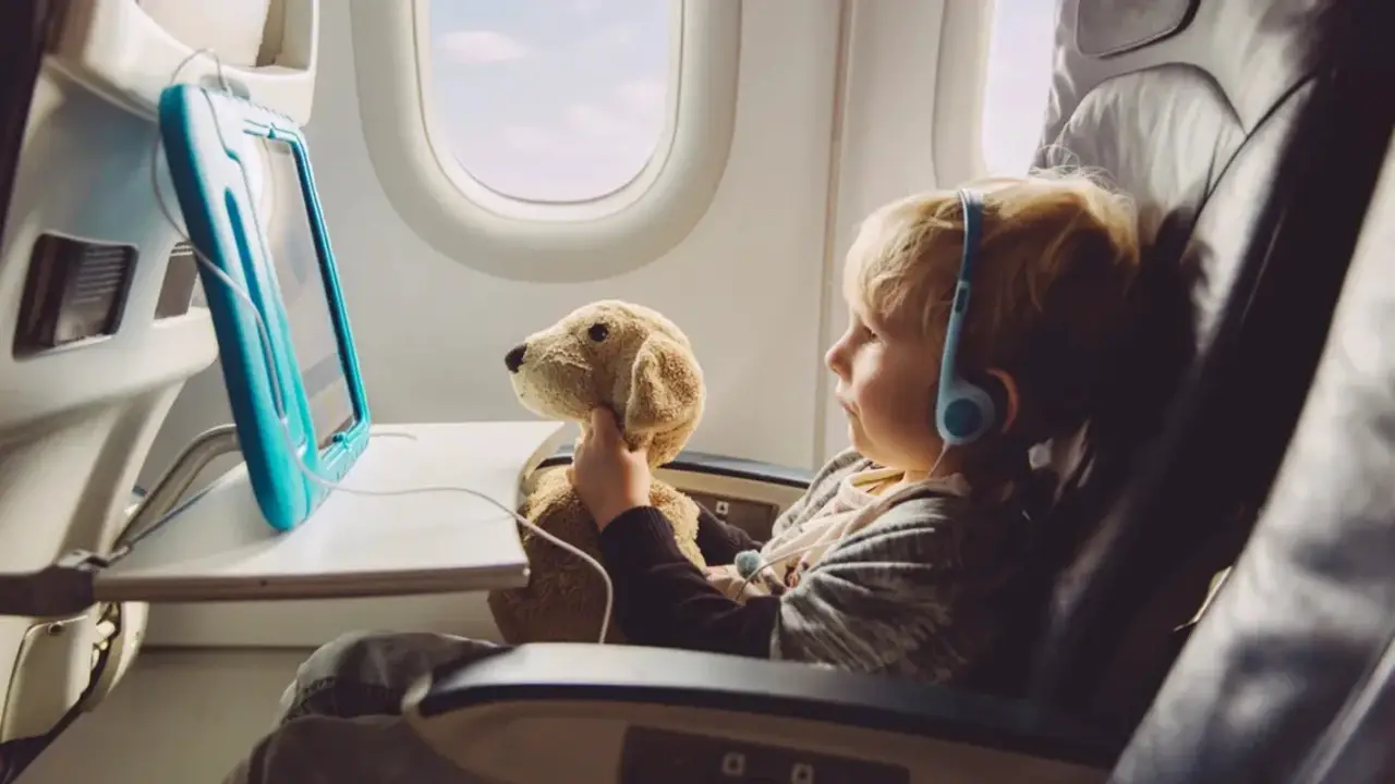 How To Efficiently Pack Stuffed Animals For Air Travel