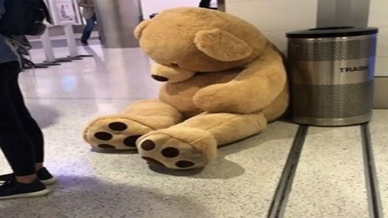 TSA Rules For Carrying Stuffed Animals