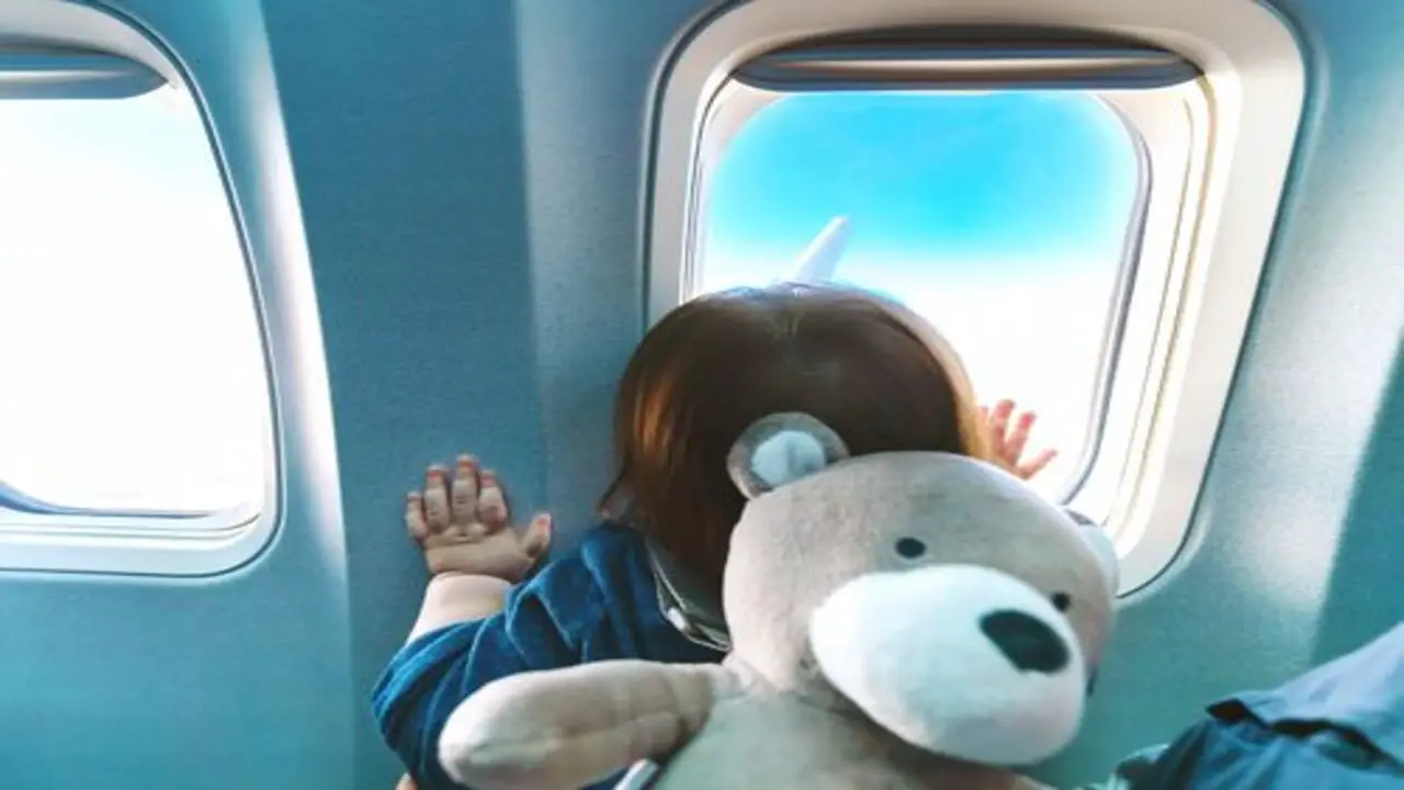 TSA Rules For Packing Stuffed Animals