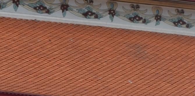 Common mistakes travelers make with carry on luggage dimensions for carry on luggage united Common mistakes travelers make with carry on luggage dimensions for carry on luggage united