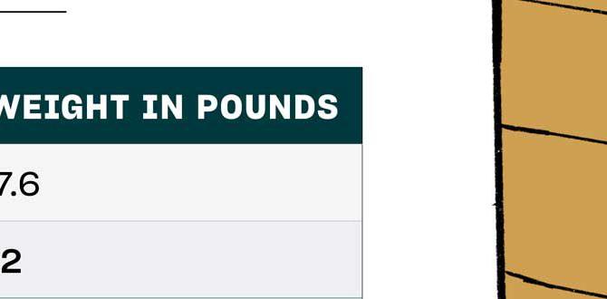 Dimensions of standard carryon luggage what is the standard size for carry on luggage Dimensions of standard carryon luggage what is the standard size for carry on luggage