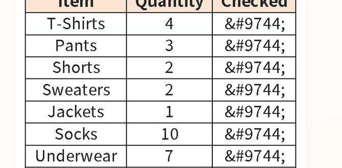 Smart packing tips for effortless travel rules for carry on luggage Smart packing tips for effortless travel rules for carry on luggage