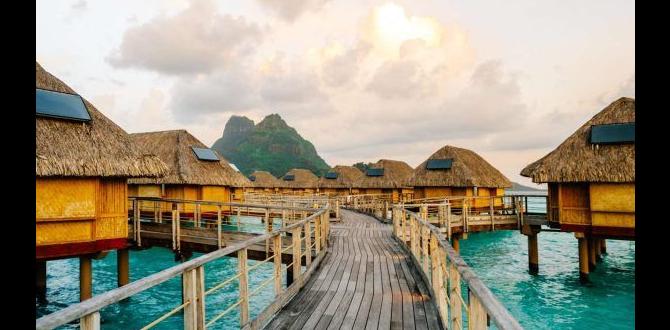 bora bora overwater bungalow alternatives bora bora overwater bungalow alternatives