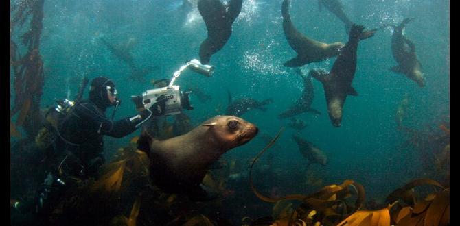 hidden speakeasies inside kelp forests