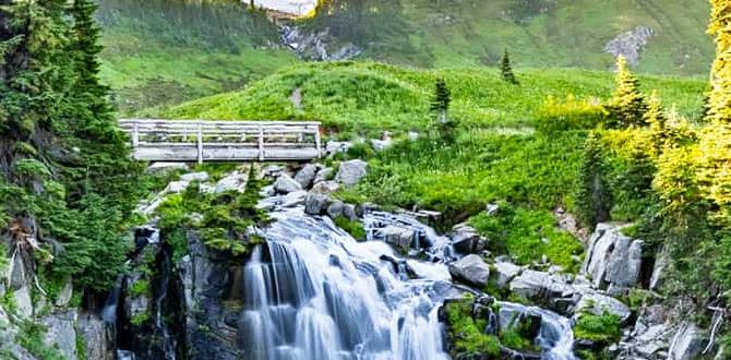 national parks in the usa
