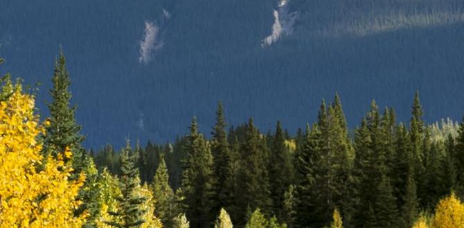 scenic lake destinations in eastern europe