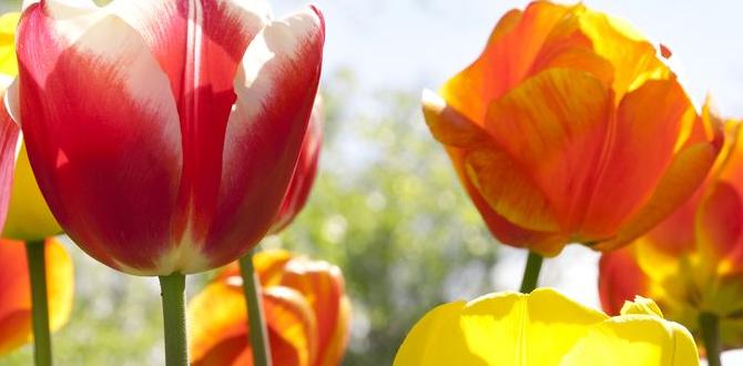 spring destinations in portugal