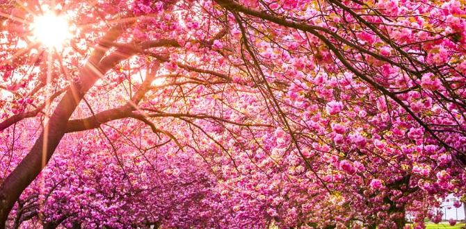 spring destinations in south america