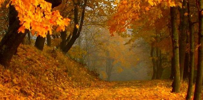 autumn temple hikes in South Korea