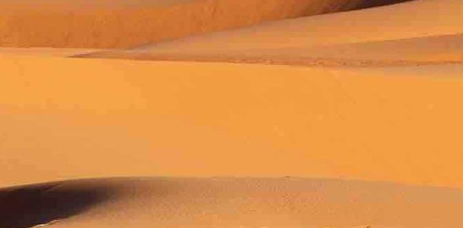 desert stargazing sites in Namibia guide