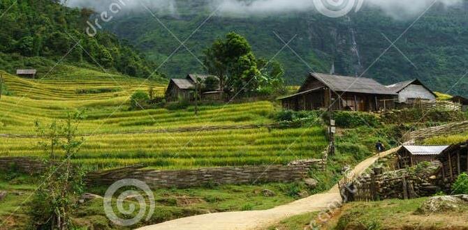 ethnic minority village treks in Vietnam ethnic minority village treks in Vietnam
