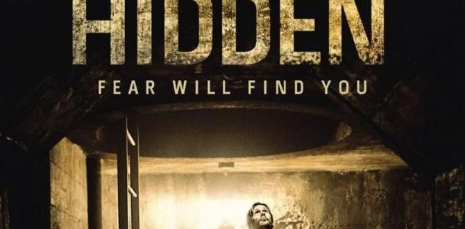 hidden cafés in the French Quarter New Orleans guide hidden cafés in the French Quarter New Orleans guide