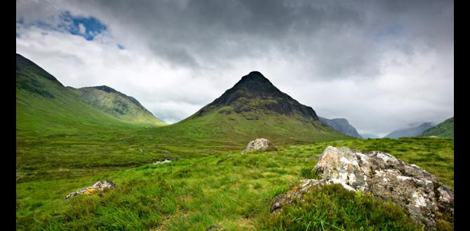 highland falconry tours in Wales highland falconry tours in Wales