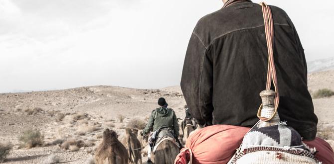 historical spice caravan routes in Arabia historical spice caravan routes in Arabia