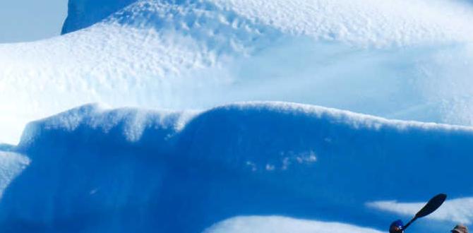 kayaking through icebergs in Greenland guide kayaking through icebergs in Greenland guide