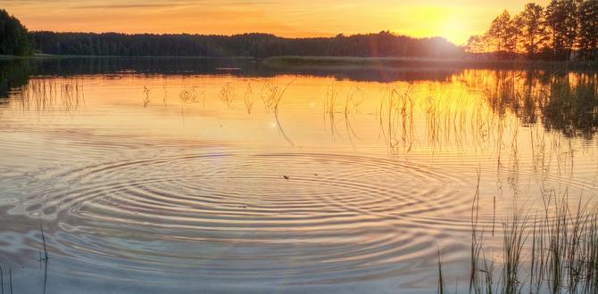 lakeside sunset rituals in Lithuania lakeside sunset rituals in Lithuania