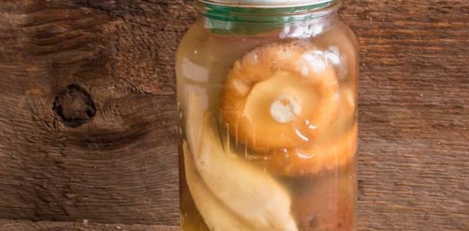 least crowded wild mushroom fermentation shrines
