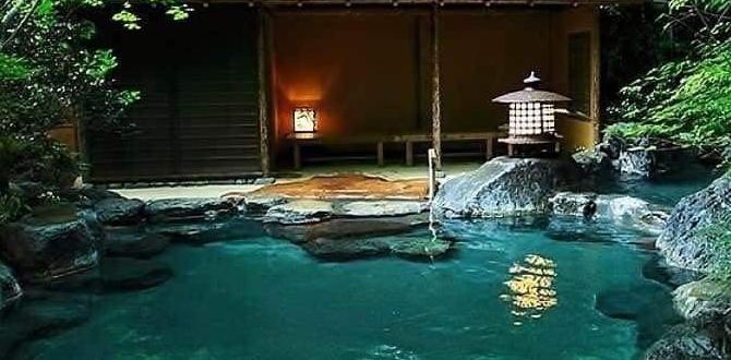 secluded hot spring domes in Japan