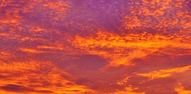 sunset hammocking sites in the Caribbean sunset hammocking sites in the Caribbean