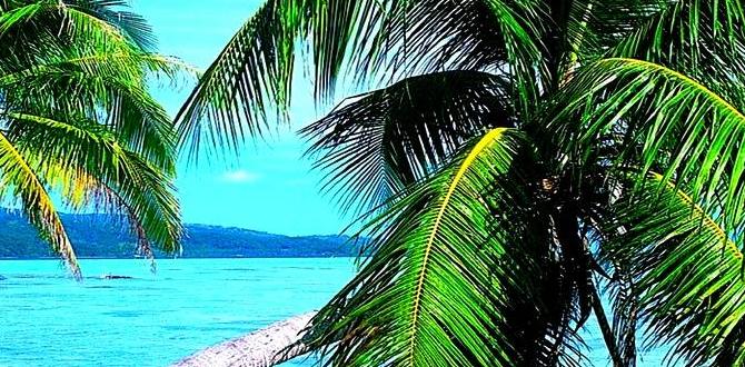 tropical hill farm homestays in Indonesia