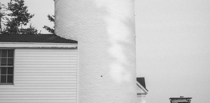 wilderness lighthouse hikes in Maine wilderness lighthouse hikes in Maine